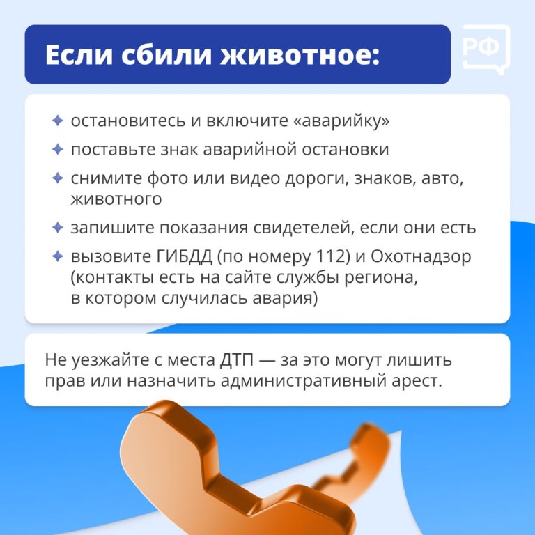 Животные на дороге часто непредсказуемы. 