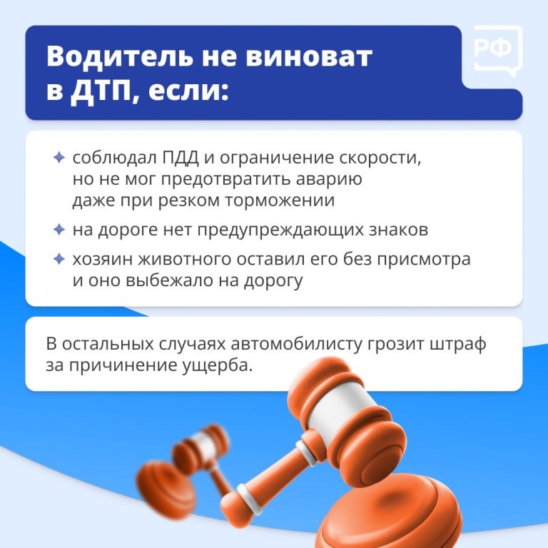 Животные на дороге часто непредсказуемы. 