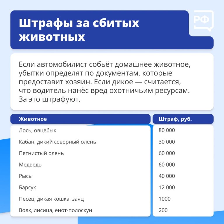 Животные на дороге часто непредсказуемы. 