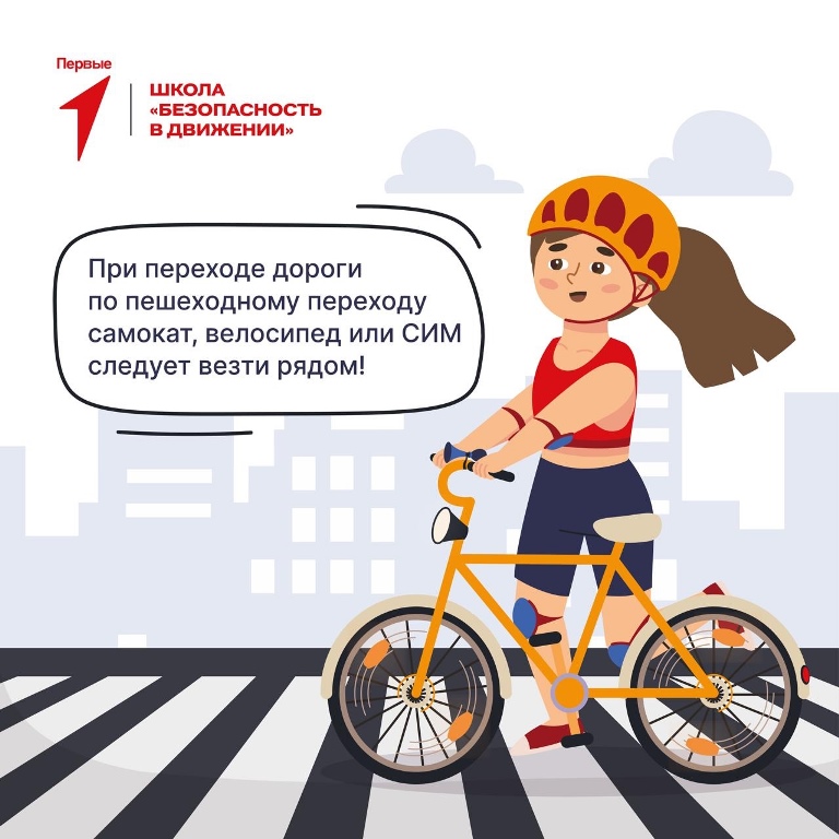 Разбираемся в правилах поведения на дорогах