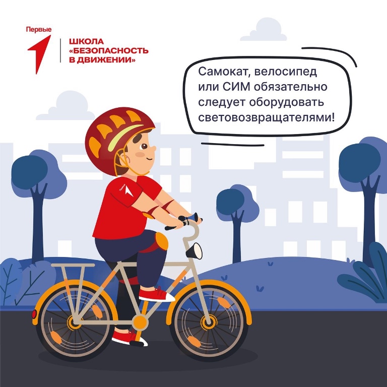 Разбираемся в правилах поведения на дорогах