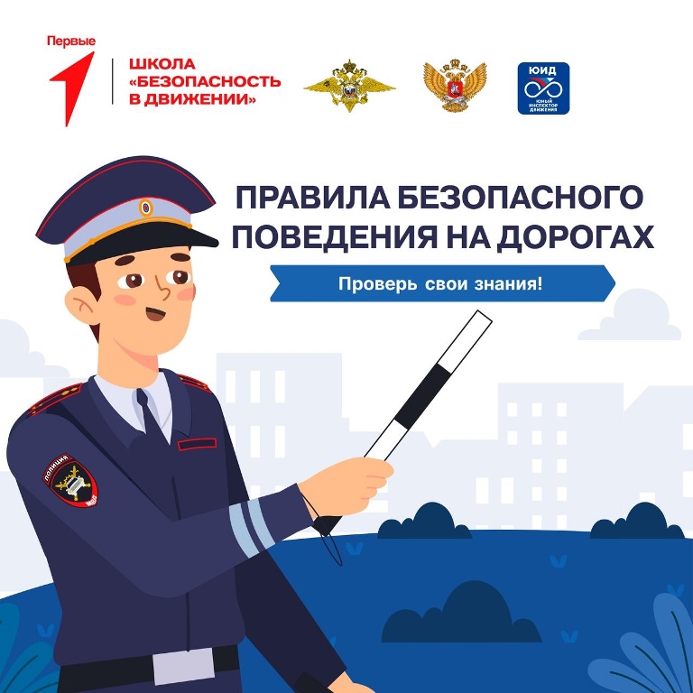 Разбираемся в правилах поведения на дорогах